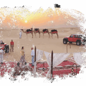 Safari Privado no Deserto