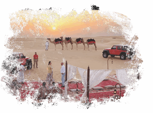 Safari Privado no Deserto